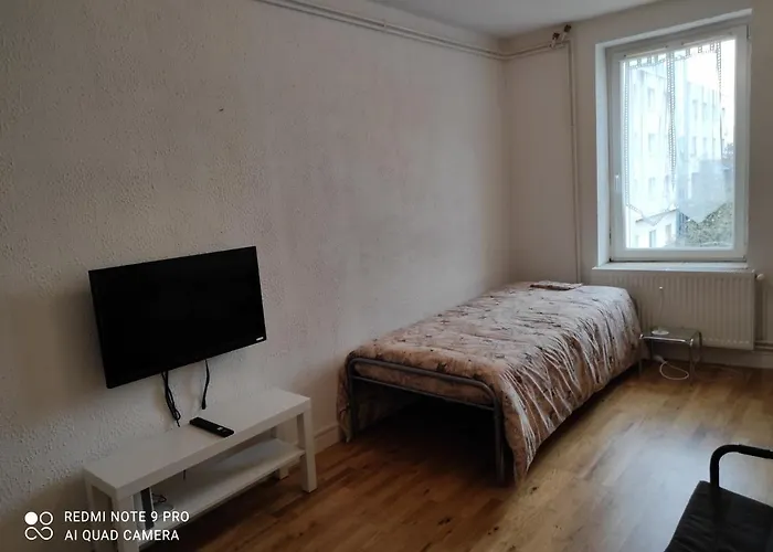 Superbe Dans Quartier Calme 南锡